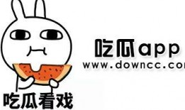 男网红吃瓜视频网站下载,揭秘瓜视频网站幕后真相